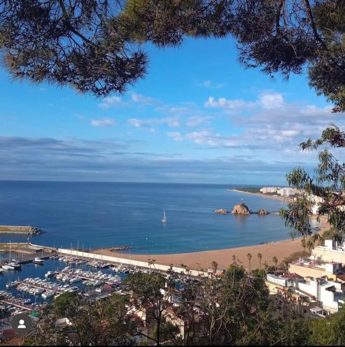 Piso Ideal Para Una Familia Ubicado Cerca Del Mar Blanes Exterior photo